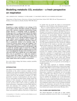 Modelling metabolic CO2 evolution a fresh perspective on respiration