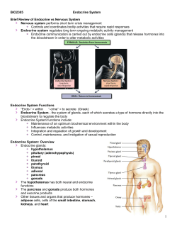 The Endocrine System - Austin Community College