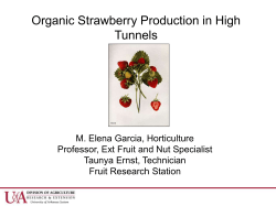 Organic Strawberry Production in High Tunnels