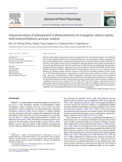 Characterization of photosystem II photochemistry in transgenic