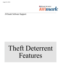 Theft Deterrent