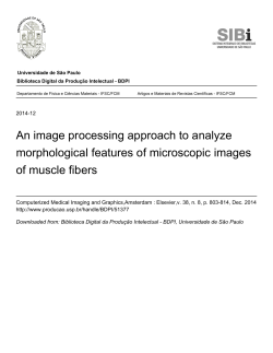 An image processing approach to analyze