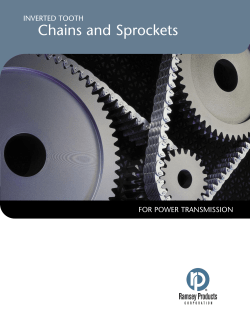 Chains and Sprockets - Accent Bearings Company, Inc.
