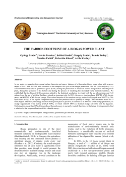 THE CARBON FOOTPRINT OF A BIOGAS POWER PLANT
