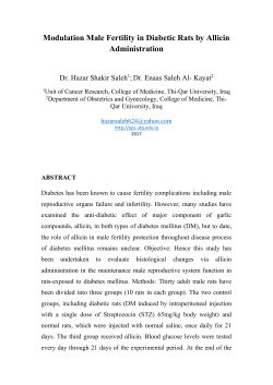 Modulation Male Fertility in Diabetic Rats by Allicin Administration