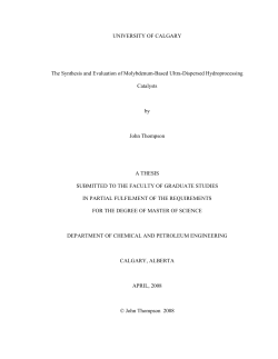 UNIVERSITY OF CALGARY The Synthesis and Evaluation of