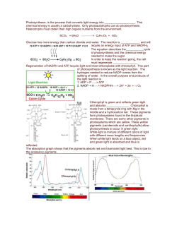 Steps of the Calvin Cycle