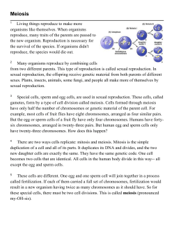 Comparison of Mitosis and Meiosis Articles