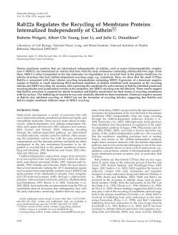 Rab22a Regulates the Recycling of Membrane
