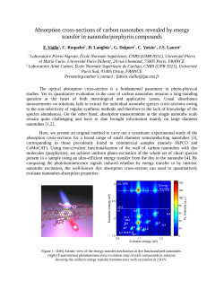 Absorption cross-sections of carbon nanotubes revealed by energy