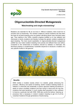 Oligonucleotide-Directed Mutagenesis
