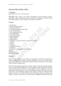Silage for Animal Feed