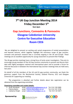 2016: UK Gap Junction Meeting - Glasgow Caledonian University