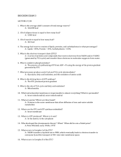 BIOCHEM EXAM 3 LECTURE 27/28 1. What is the average adult`s amount