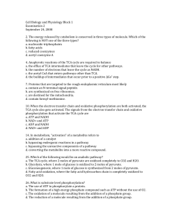 Cell Biology and Physiology Block 1 Examination 2 September 24