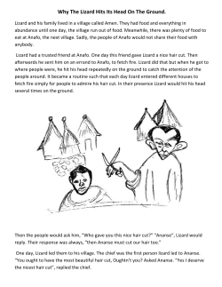 Why The Lizard Hits Its Head On The Ground.