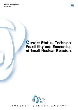 Current Status, Technical Feasibility and Economics of Small