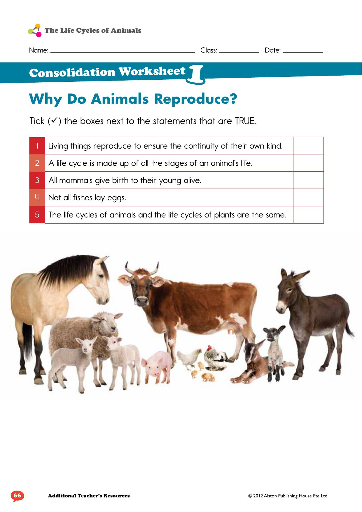 Why Do Animals Reproduce?