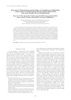 Heterosis for Photosynthesis and Dry Matter Accumulation in F1