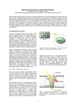 Measuring fluorescence and photosynthesis