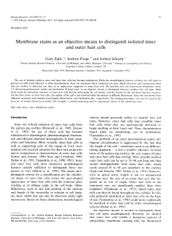 membrane stains as an objective means to distinguish isolated inner