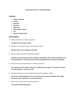 Section 4.4 Study Guide