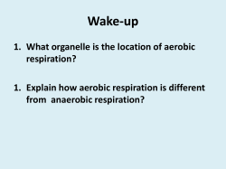 Carbon Cycle - christophersonbiology