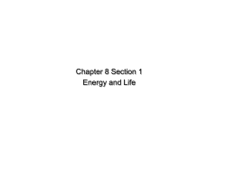 Chemical Energy and ATP