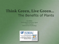 Think Green, Live Green&hellip; The Benefits of Plants
