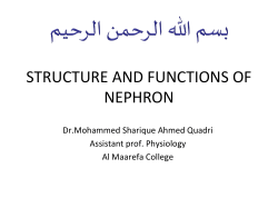 STRUCTURE AND FUNCTIONS OF NEPHRON