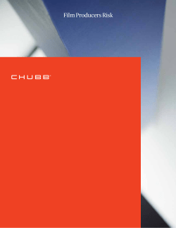 Business Descriptor Film Producers Risk