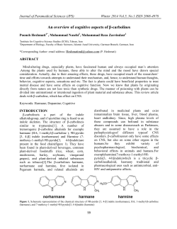 An overview of cognitive aspects of &beta;
