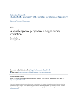 A social cognitive perspective on opportunity evaluation.