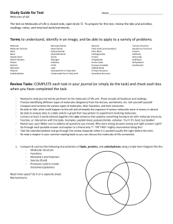 Molecules of Life Review Carbohydrates Lipids Proteins