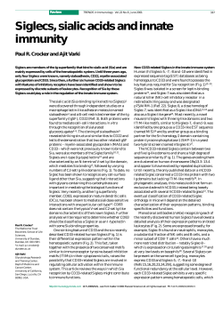Siglecs, sialic acids and innate immunity