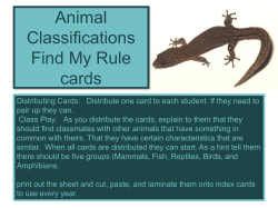 Animal Classifications: Find My Rule