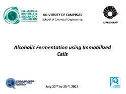 Alcoholic Fermentation using Immobilized Cells