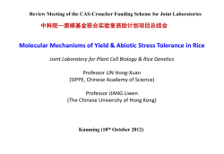 PowerPoint 演示文稿