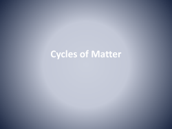Cycles of matter
