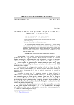 Changes of lactic acid quantity and pH in cattle meat infected by