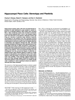 Hippocampal Place Cells: Stereotypy and