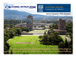 Retinoic acid downregulates human ether &agrave;-go-go