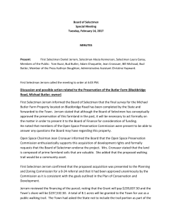 Discussion and possible action related to the Preservation of the