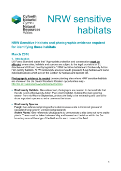 NRW Sensitive Habitats and photographic evidence required for