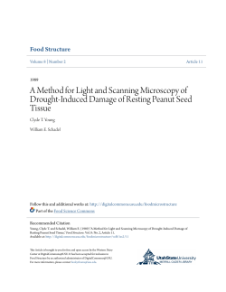 A Method for Light and Scanning Microscopy of Drought