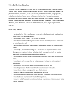 Unit 5: Cell Evolution Objectives Vocabulary terms: prokaryote