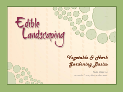 Paula-s_Vegetable_-_Herb_Gardening_Basics