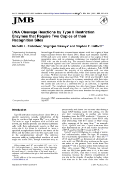 DNA cleavage reactions by type II restriction enzymes that require