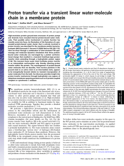 Proton transfer via a transient linear water