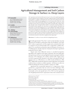 Agricultural Management and Soil Carbon Storage in Surface vs
